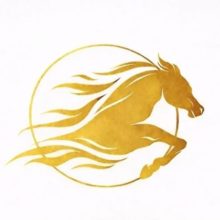 Vuur Pard 2026_square